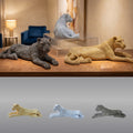 Leonas | Decoración